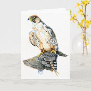 Lanner falcon birthday Card