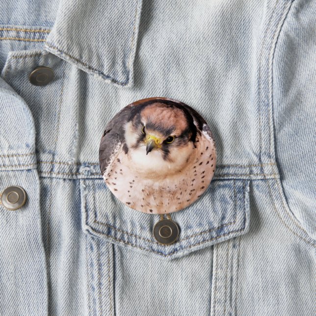 LANNER FALCON BUTTON (In Situ)