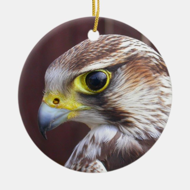 Lanner Falcon Ceramic Ornament (Front)