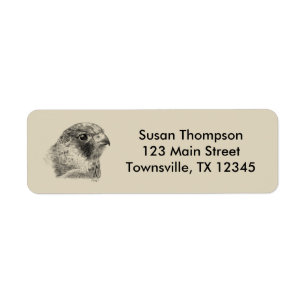 Lanner Falcon Drawing Label