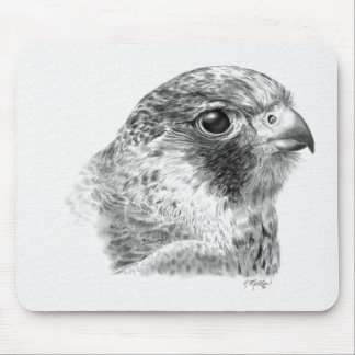 Lanner Falcon Drawing Mouse Pad