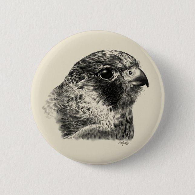 Lanner Falcon Drawing Pinback Button (Front)