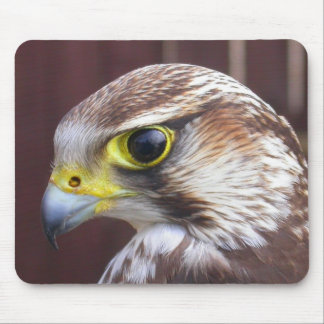 Lanner Falcon Mouse Pad