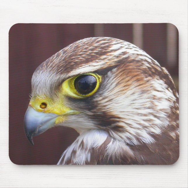 Lanner Falcon Mouse Pad (Front)