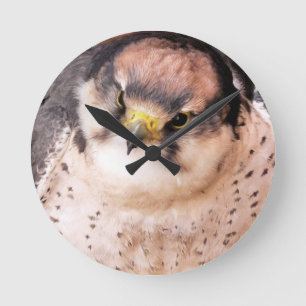 LANNER FALCON ROUND CLOCK