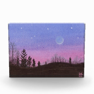 Lansing Moon and Stars Award