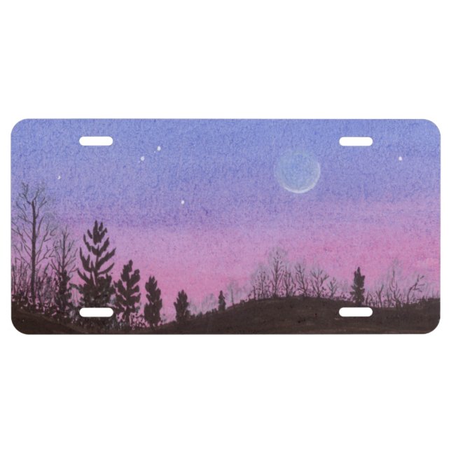 Lansing Moon and Stars License Plate (Front)