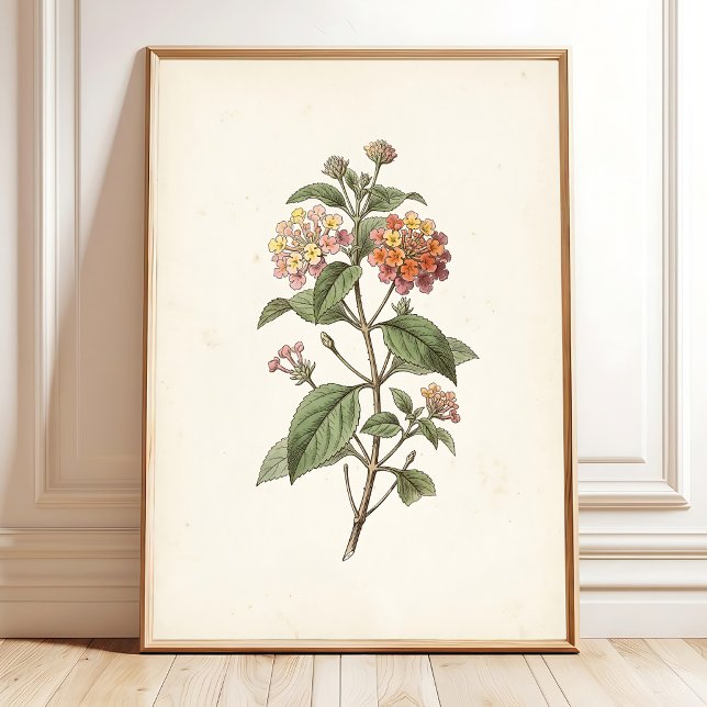 Lantana Botanical Cottagecore Print (Creator Uploaded)