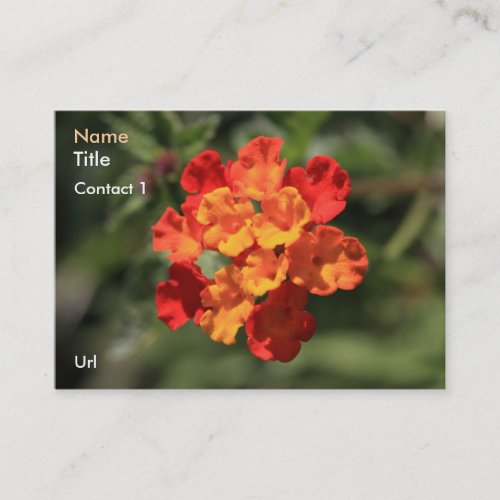 Lantana Business Card