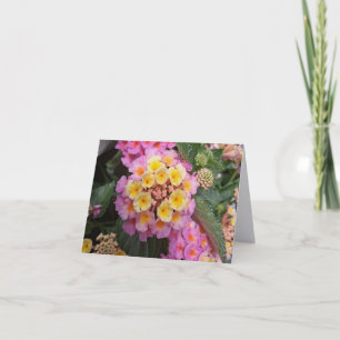 Lantana Fine Art Photography Folded Note Card