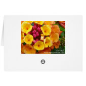 Lantana Flower II - Bordered Cards (Back Horizontal)