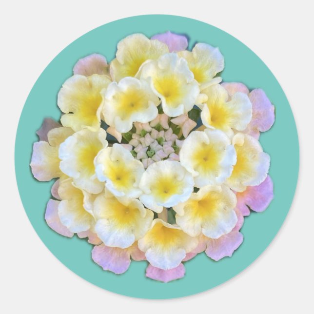 Lantana Flowers Sticker (Front)