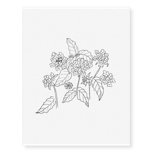 Lantana Temporary Tattoos (Front)