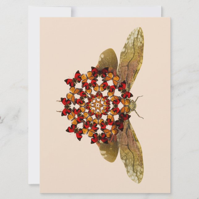 Lantern Fly and Butterfly Mandala Announcement (Front)