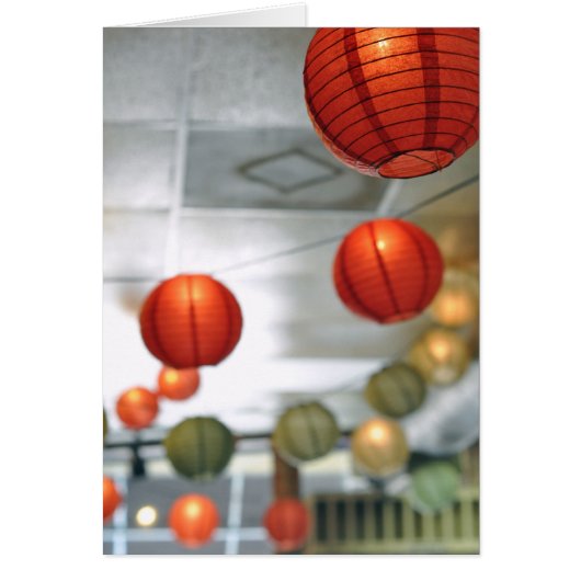Lantern Lights Cards (Front)