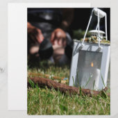 Lantern of light (Front/Back)