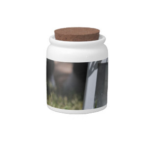 Lantern of light candy jar