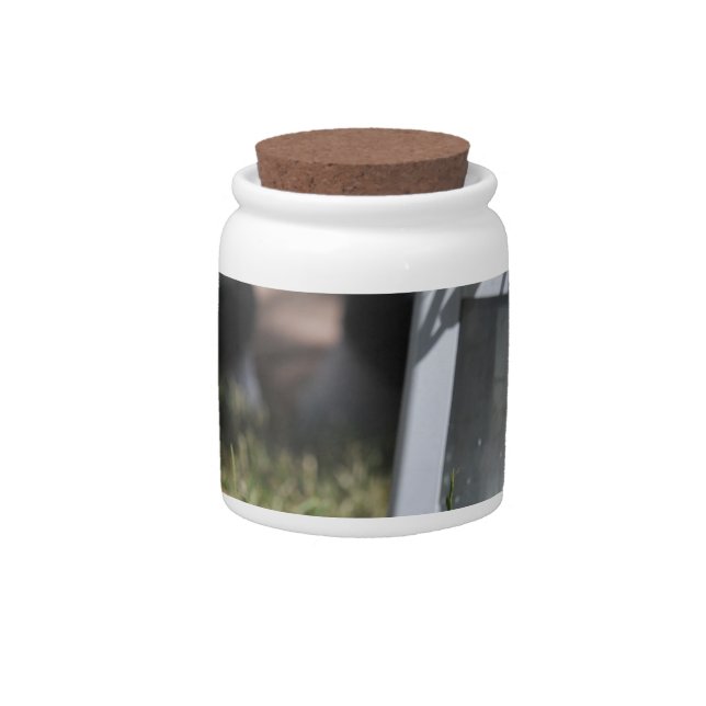 Lantern of light candy jar (Front)