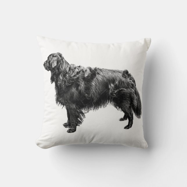 Lantern Porch Companion Throw Pillow (Front)