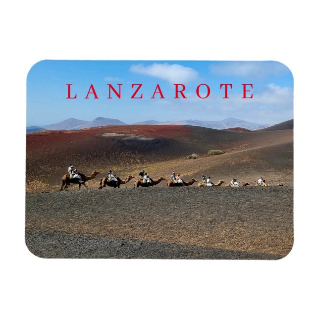 Lanzarote camels view fridge magnet (Horizontal)