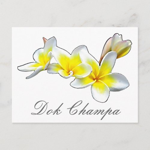 LAO FLOWER DOK CHAMPA _ PLUMERIA RUBRA POSTCARD