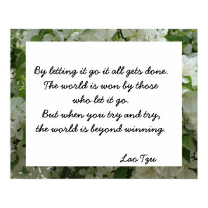 Lao Tzu Letting Go Quote Inspirational Poster