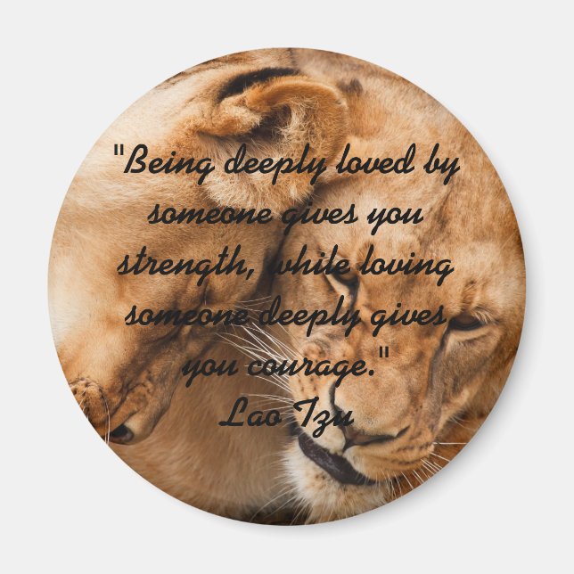 Lao Tzu Love Quote & Lions Magnet (Front)