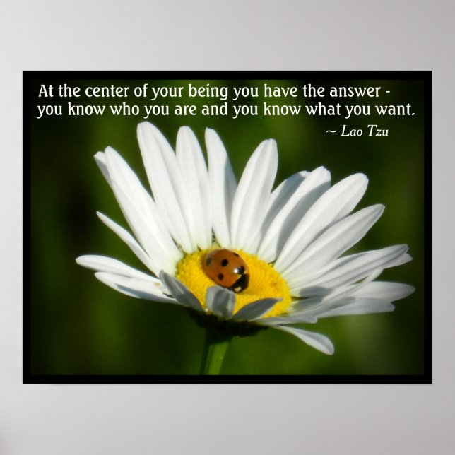 Lao Tzu Quote Ladybug Daisy Inspiration Motivation Poster (Front)