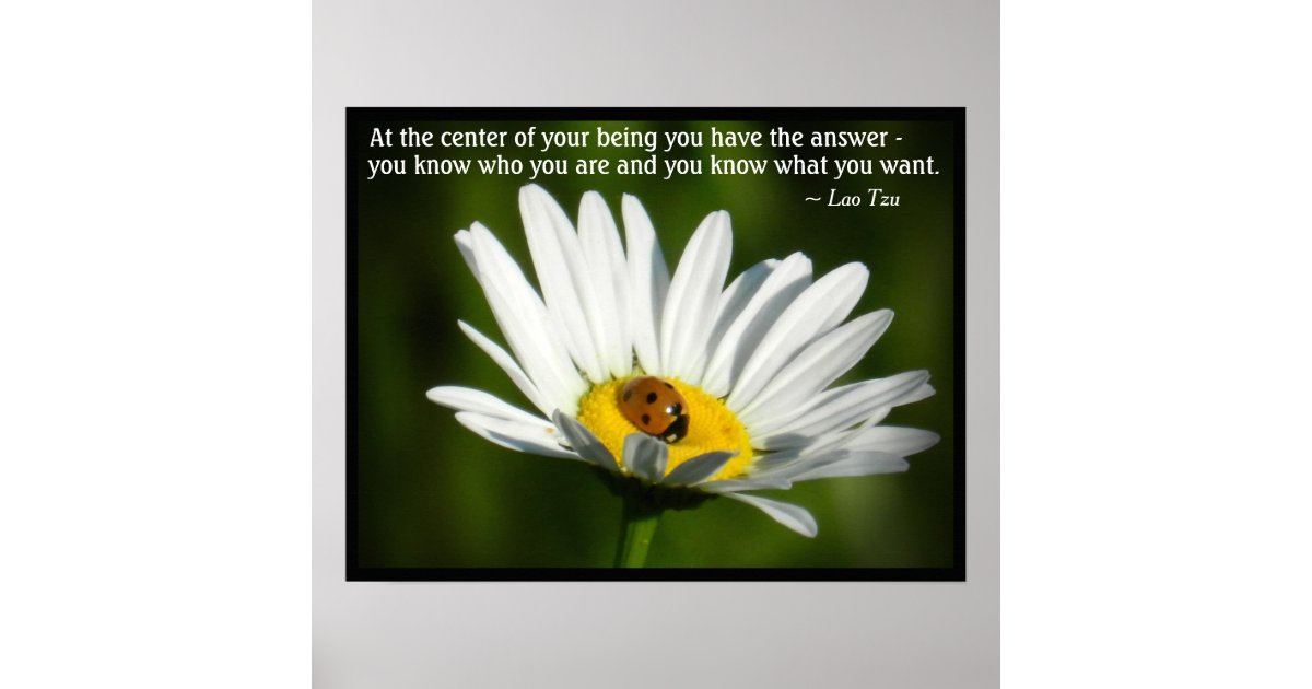 Lao Tzu Quote Ladybug Daisy Inspiration Motivation Poster