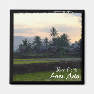 Laos, Sunset above rice fields (Magnet) Magnet
