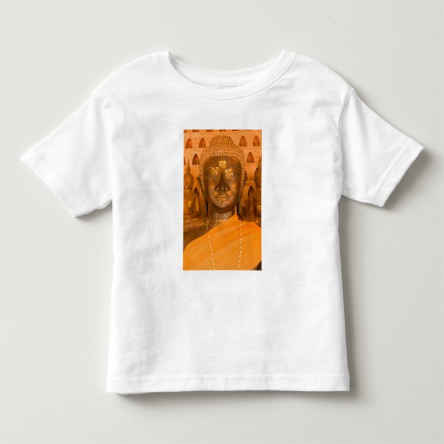 Laos, Vientiane, one of 6840 Buddha images in 2 Toddler T-shirt (Front)