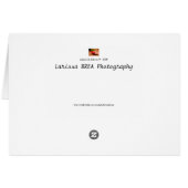 Lapices de Colores IV Cards (Back Horizontal)