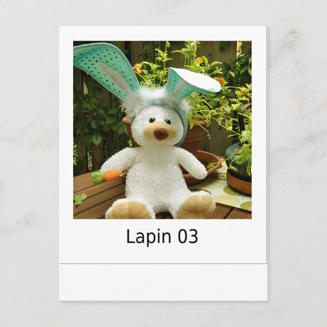 Lapin 03 postcard (Front)