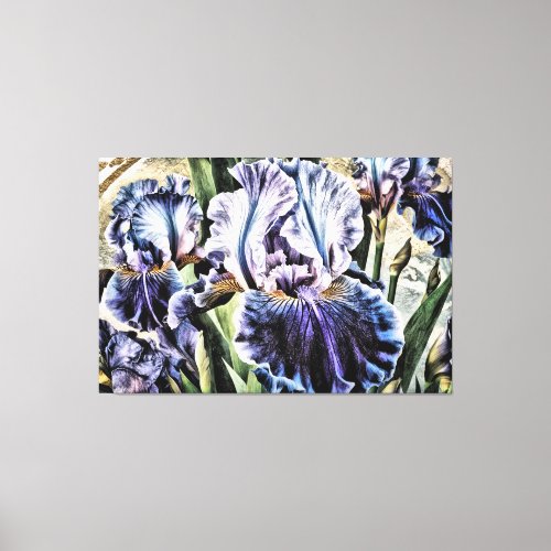  LAPIS BLUE IRIS Irises Vintage Floral TV2 Canvas Print