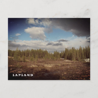 Lapland forest postcard