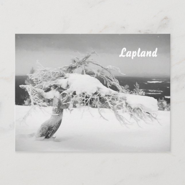 Lapland landscape souvenir postcard (Front)