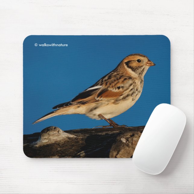 Lapland Longspur Bunting Songbird on a Sunlit Log Mouse Pad (With Mouse)