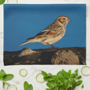 Lapland Longspur on a Sunlit Log Towel