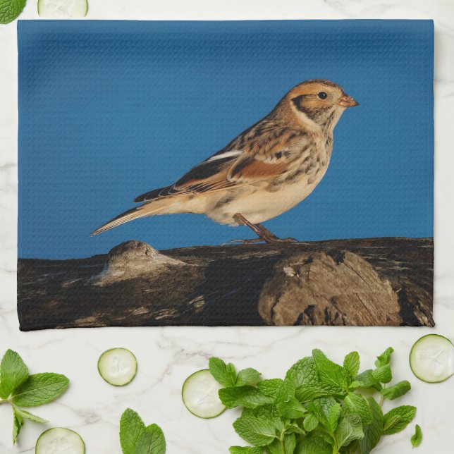 Lapland Longspur on a Sunlit Log Towel (Folded)