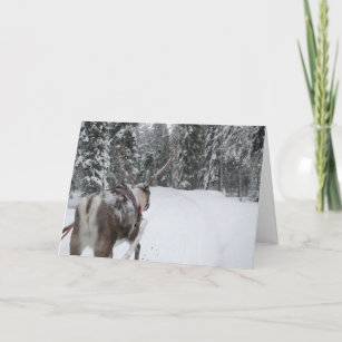 Lapland redeemer Christmas card