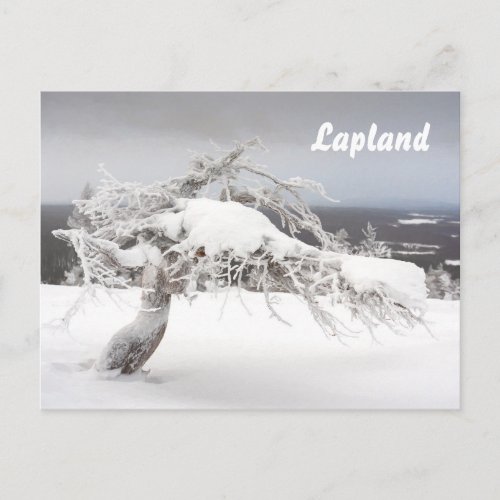 Lapland souvenir postcard