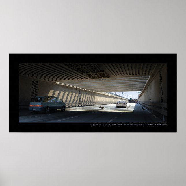 L'appel de la nature - The call of the wild Poster (Front)