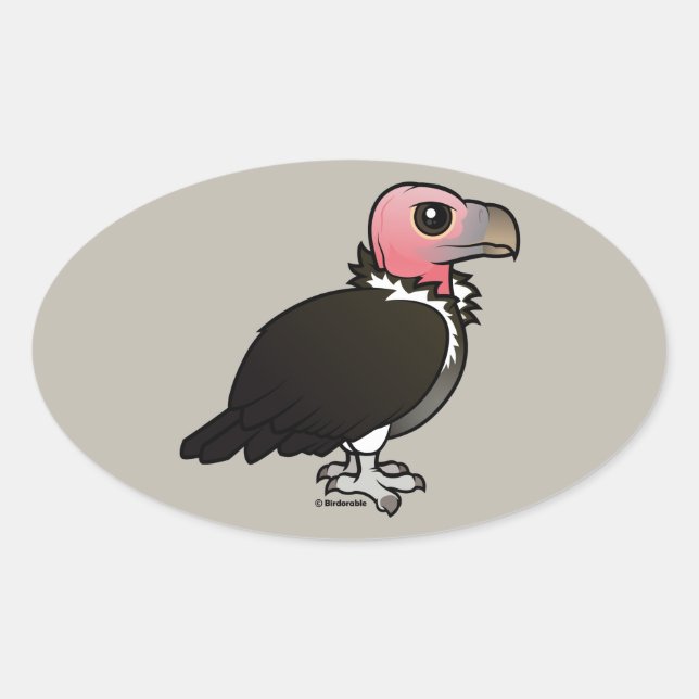 Lappet-faced Vulture Oval Sticker (Front)