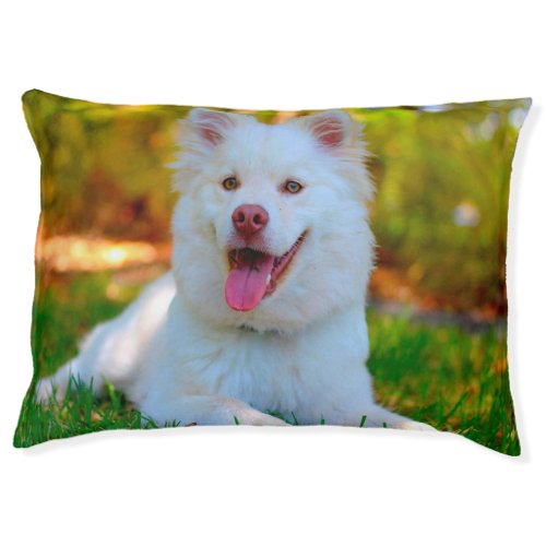 Lapphund Dog Bed Pet Bed