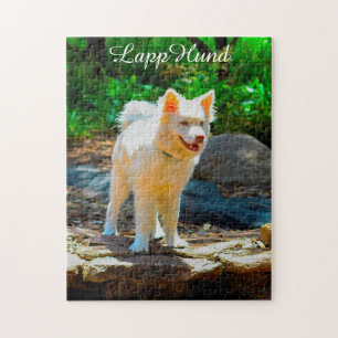 Lapphund Dog. Jigsaw Puzzle