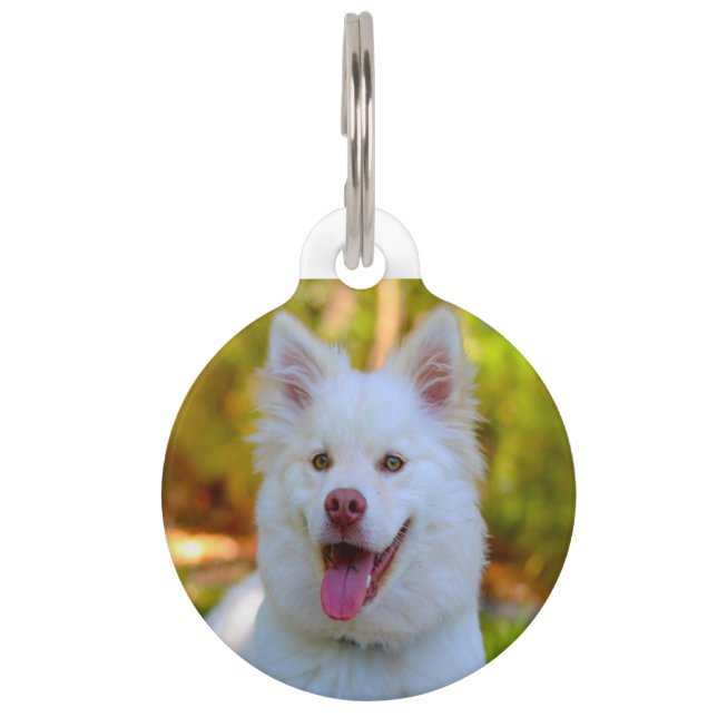 Lapphund Dog. Pet ID Tag (Front)