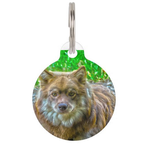 Lapphunds Dog Pet ID Tag