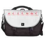 Alakananda  Laptop Bags