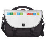 Mountain Ridge  Laptop Bags