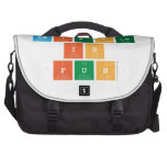 Science
 is
 fun  Laptop Bags